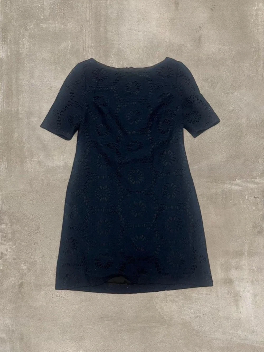 Adrianna Papell Petite Black Lace Dress 4P Short Sleeve Zip Back Elegant